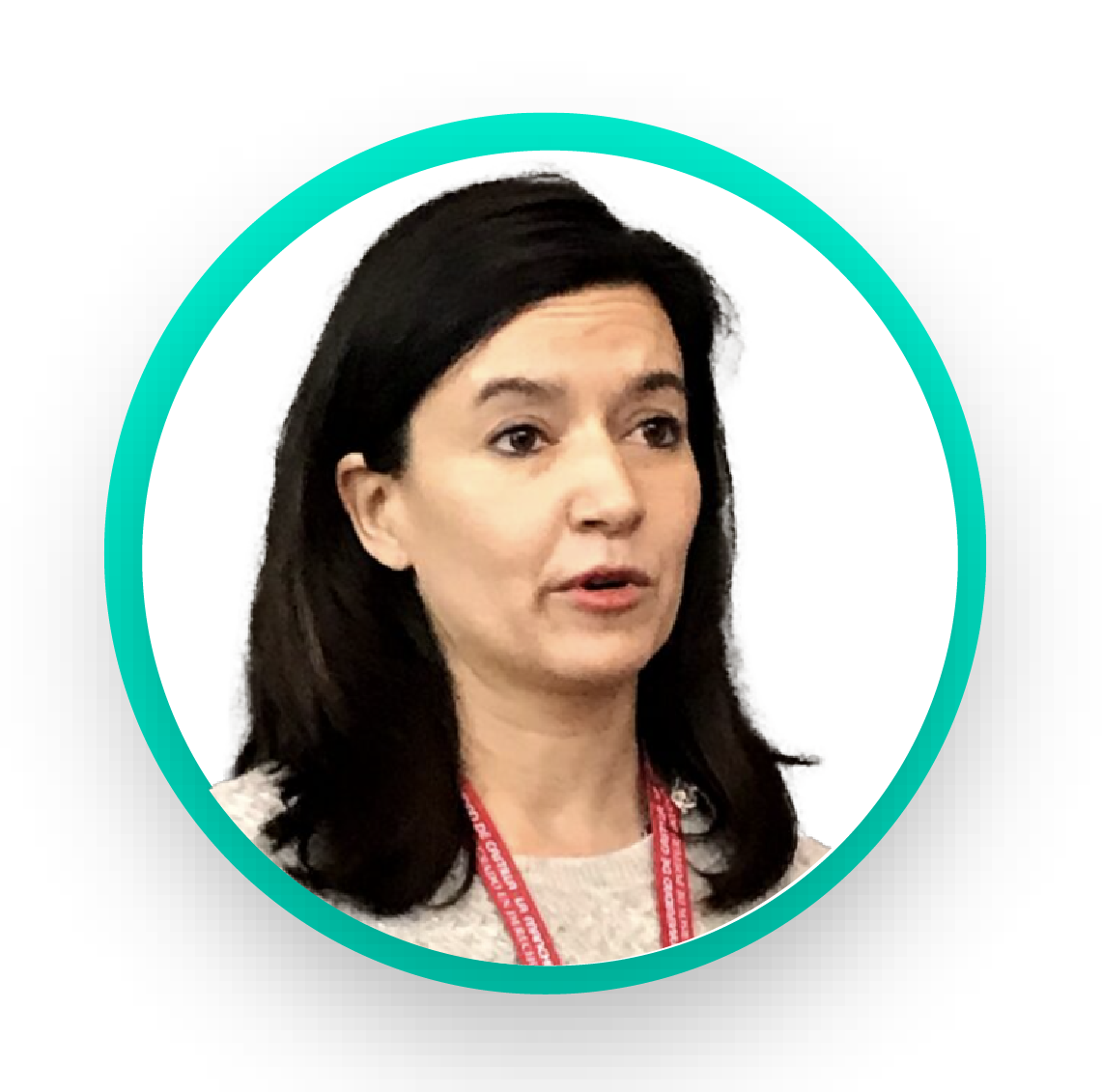 Descripción de la imagen